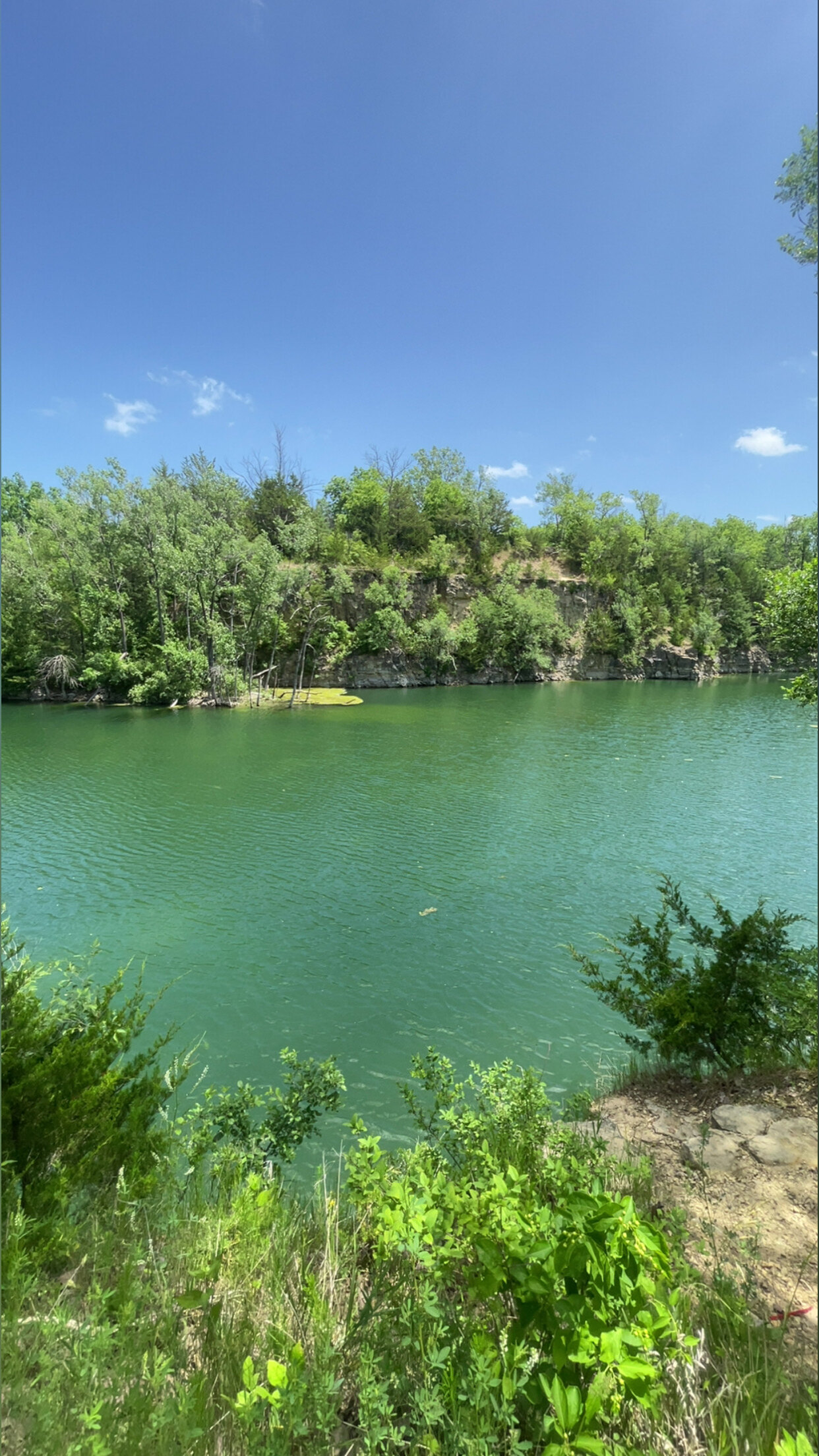 danielleee88 OnlyFans streamer