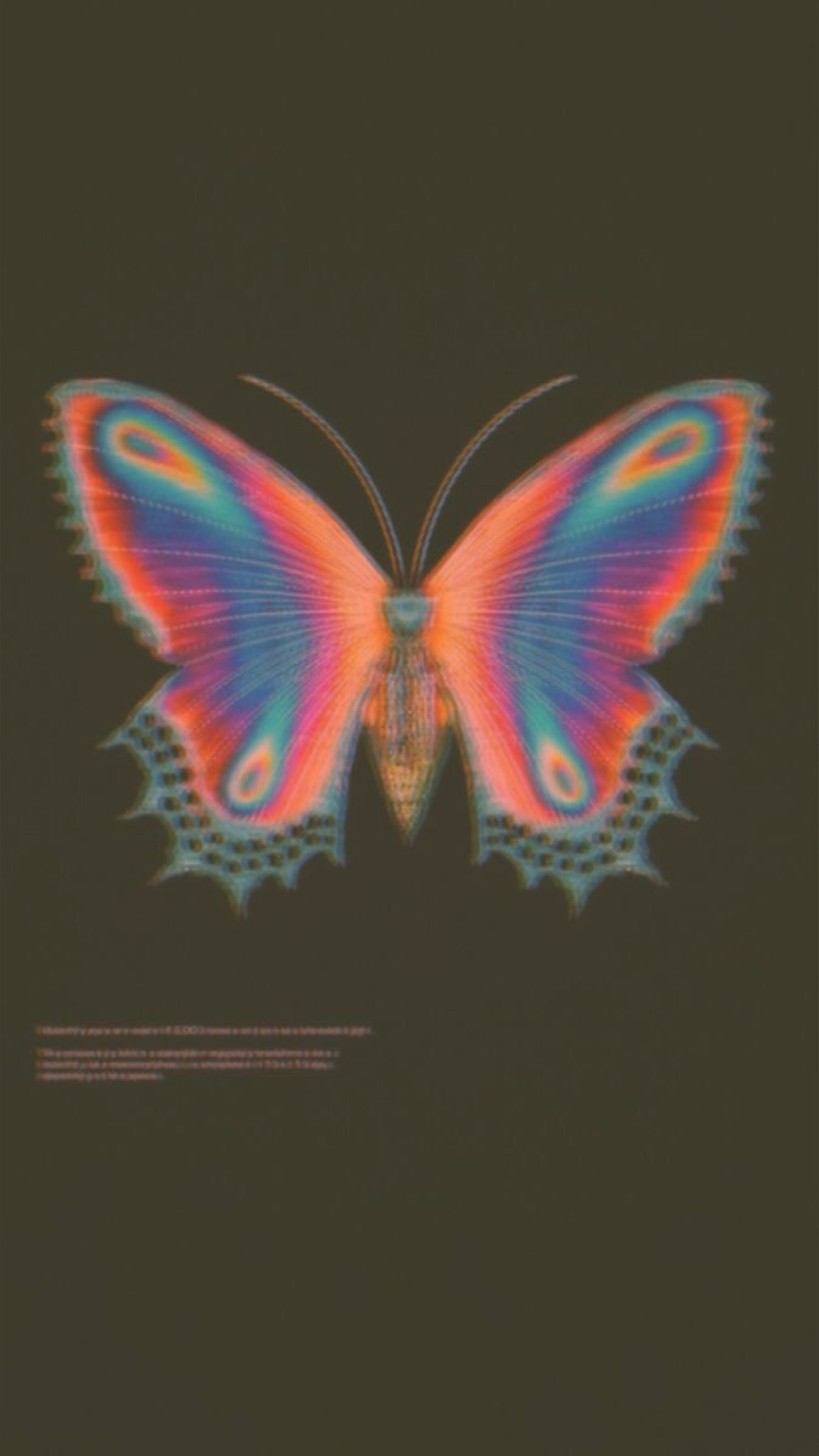 gunescenk OnlyFans stockings